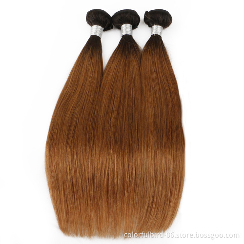 Ombre Bundles And Closure 1B/30 Color Bundles With Closure Ombre Colored Brown Brazilian Ombre Hair Bundles With Closure